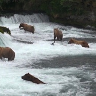 Screen Shot 2016-07-08 at 8.39.00 PM.jpg